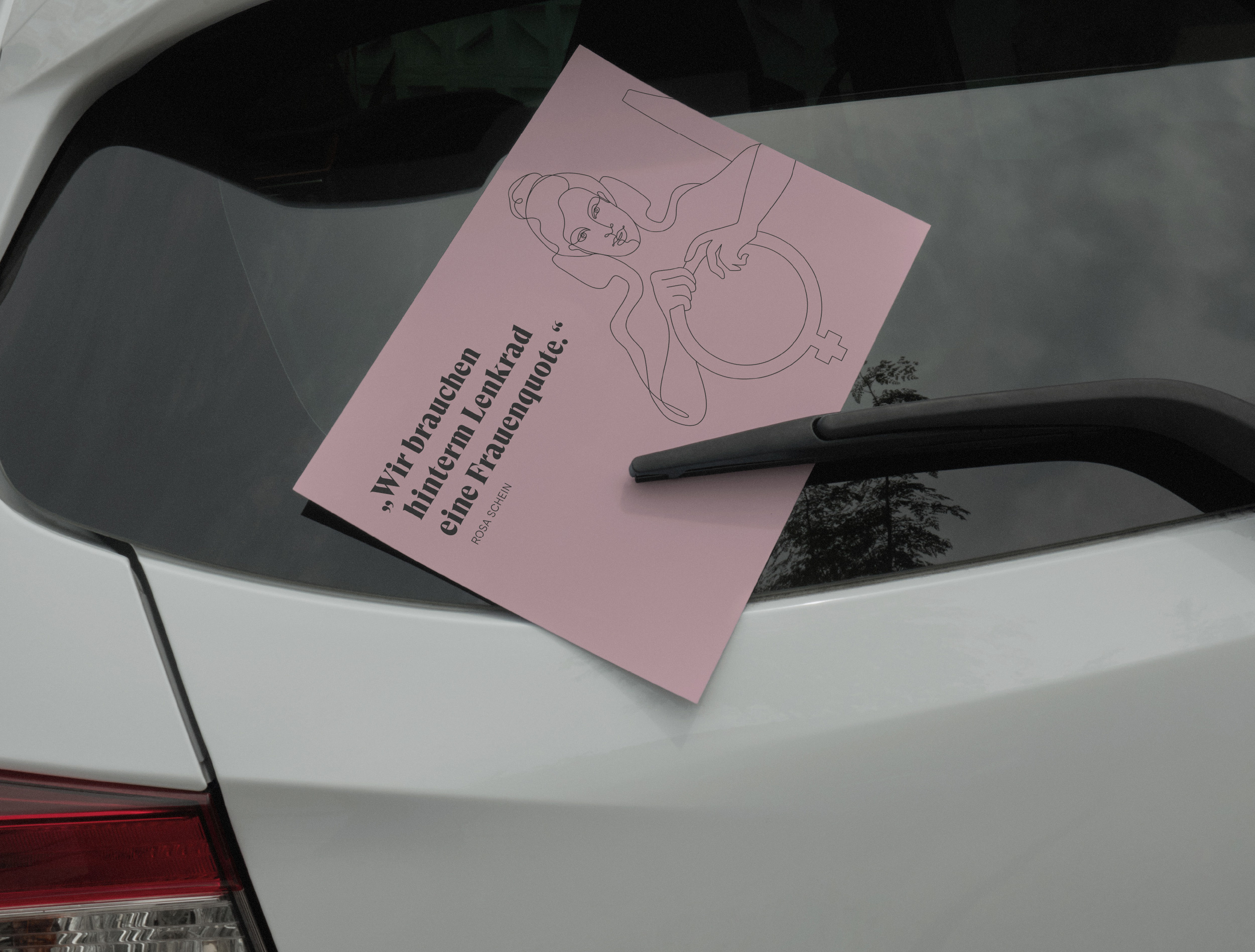 Rosa Schein – Angstfrei Autofahren lernen