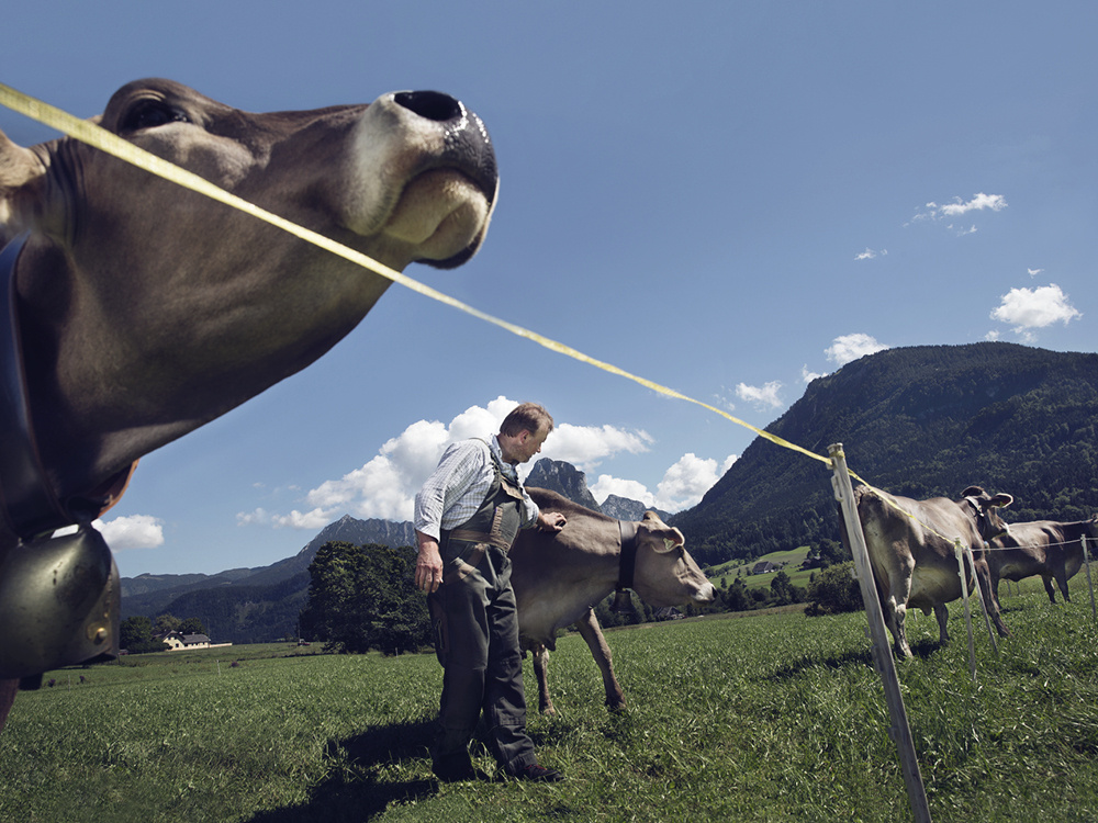 Salzburg AG – Image Kampagnen